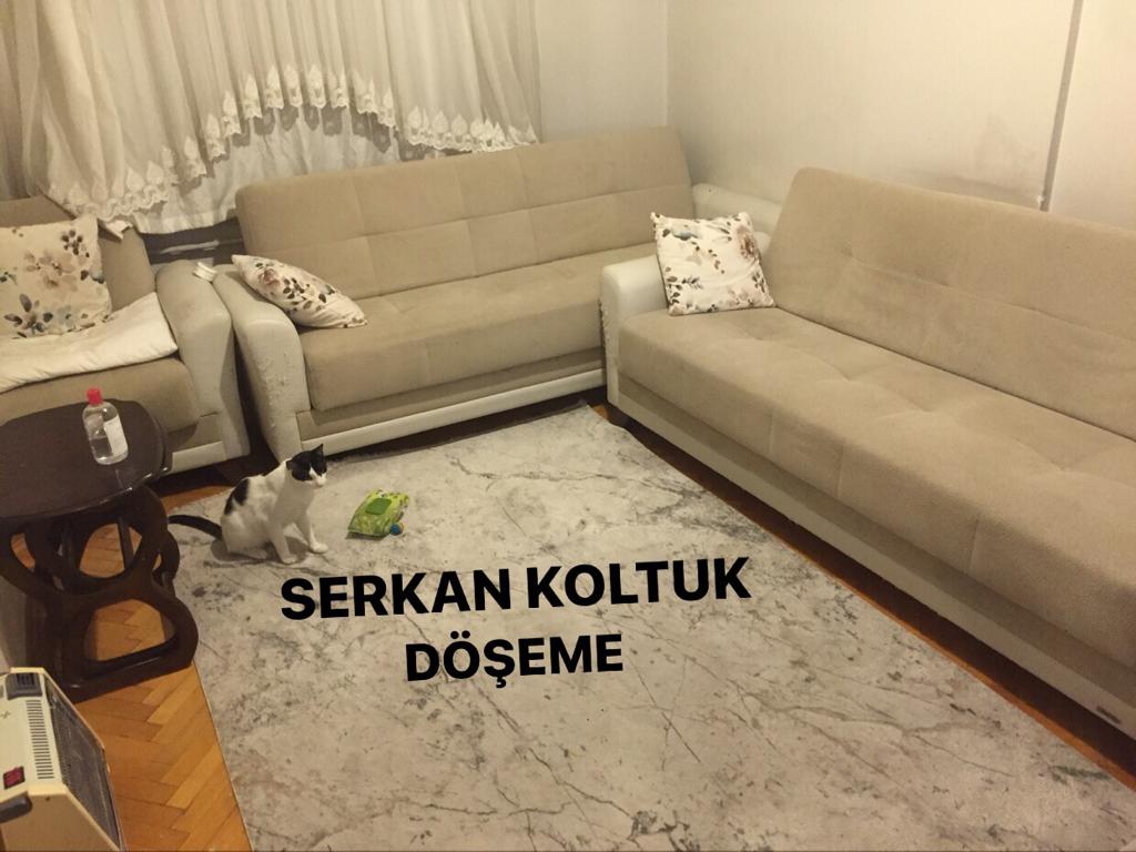 Kayseri Kanepe Yüzü Yenileme 2023